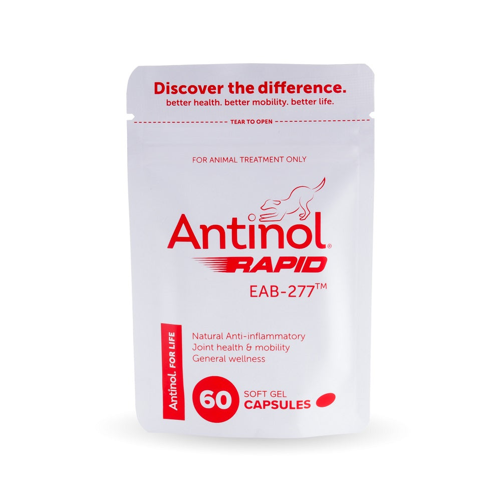 Antinol 60 Capsules