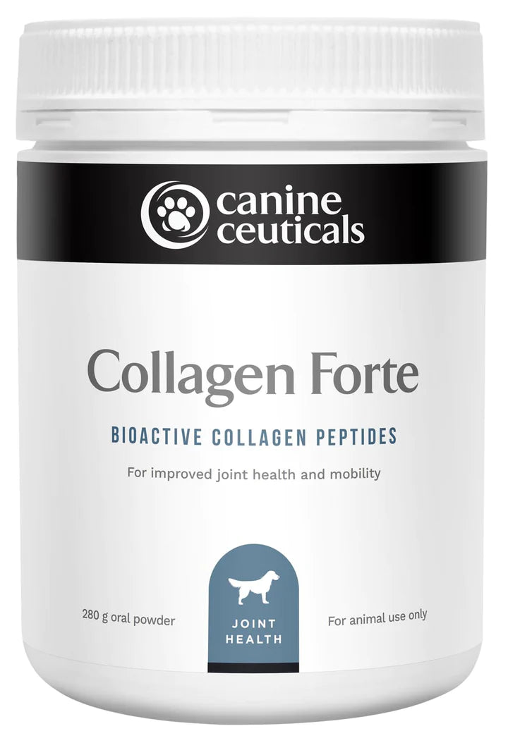 Collagen Forte