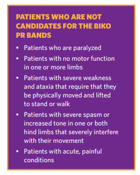 Biko PR band (yellow) + Foot cuff (one pair of each)