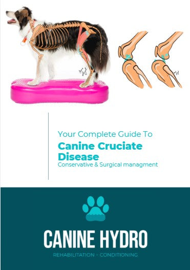 Your Complete Guided To Canine Cruciate Disease-an ebook