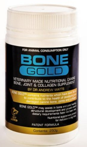 Canine Bone Gold
