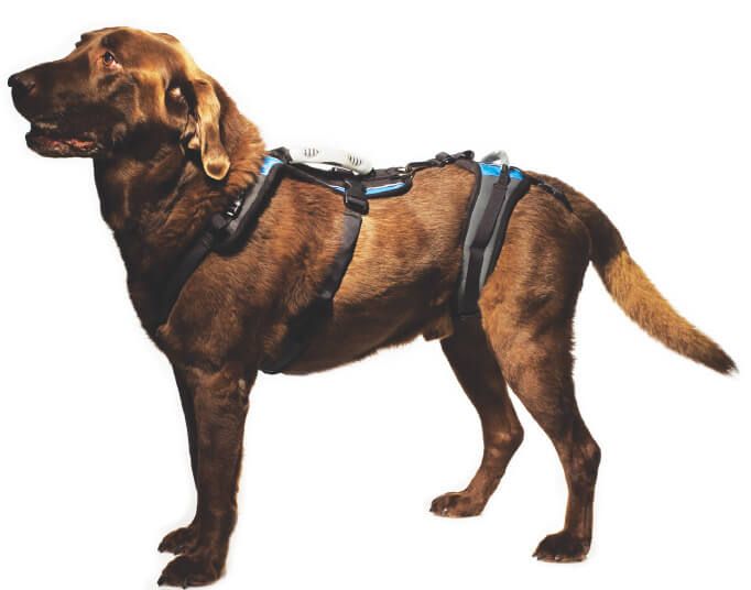 Help Em Up harness S