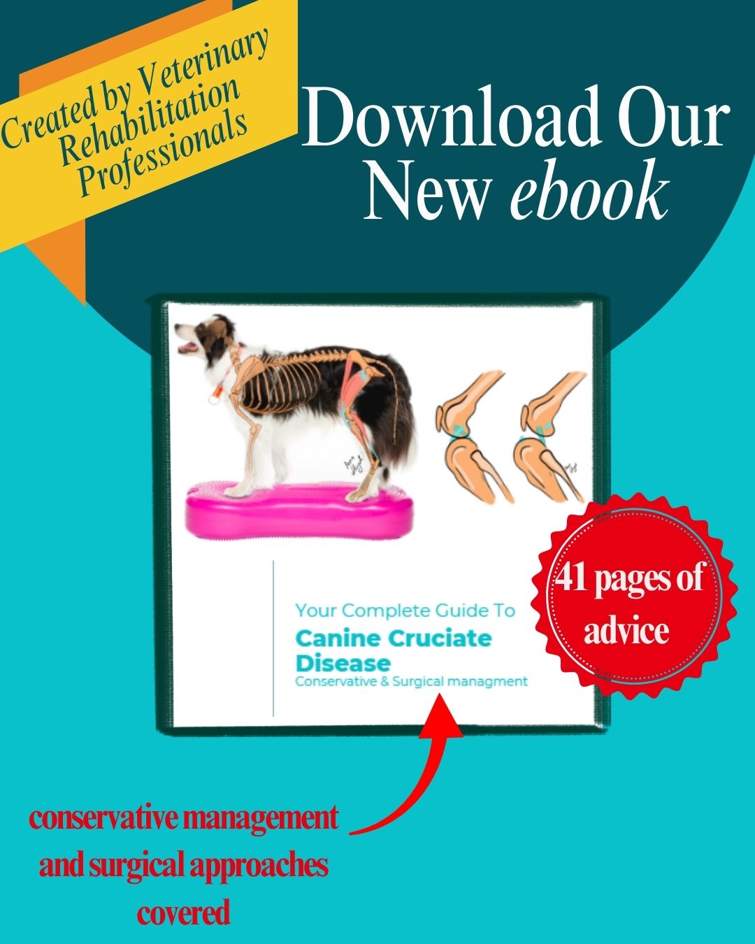 Your Complete Guided To Canine Cruciate Disease-an ebook