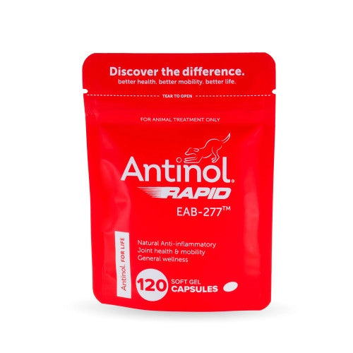 Antinol 120 Capsules