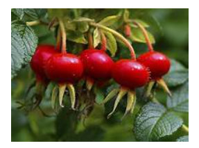 Rosehip granules